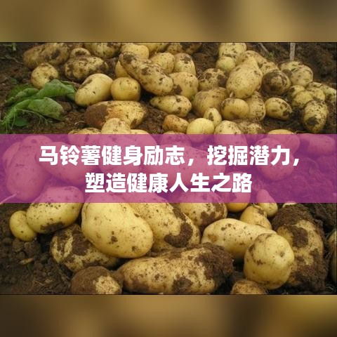 马铃薯健身励志，挖掘潜力，塑造健康人生之路