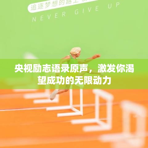 央视励志语录原声，激发你渴望成功的无限动力