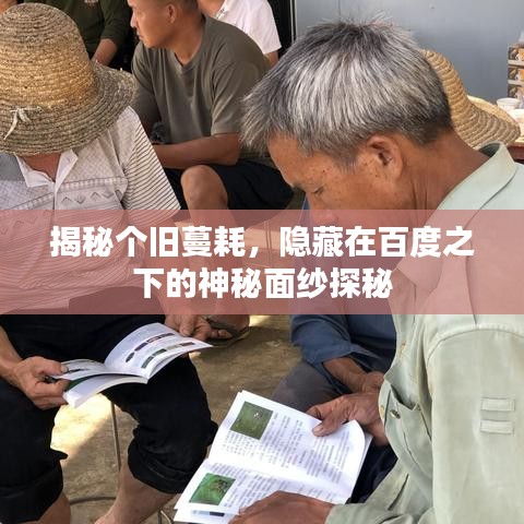 揭秘个旧蔓耗，隐藏在百度之下的神秘面纱探秘