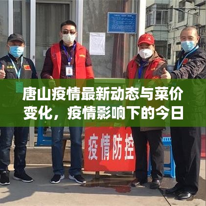 唐山疫情最新动态与菜价变化，疫情影响下的今日菜价分析