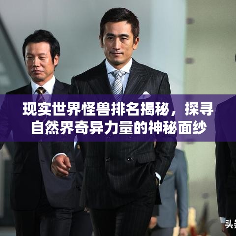 现实世界怪兽排名揭秘，探寻自然界奇异力量的神秘面纱