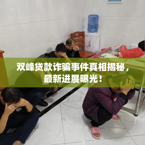 双峰贷款诈骗事件真相揭秘，最新进展曝光！