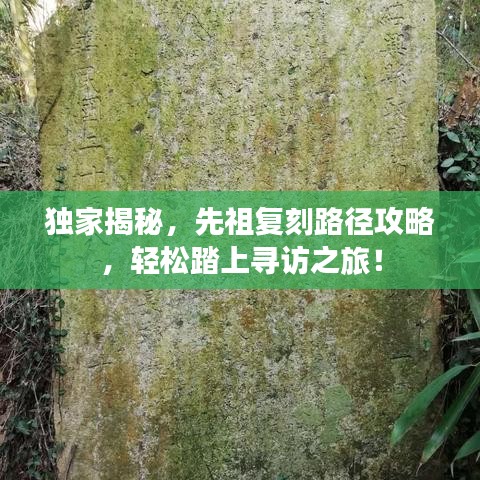 独家揭秘，先祖复刻路径攻略，轻松踏上寻访之旅！