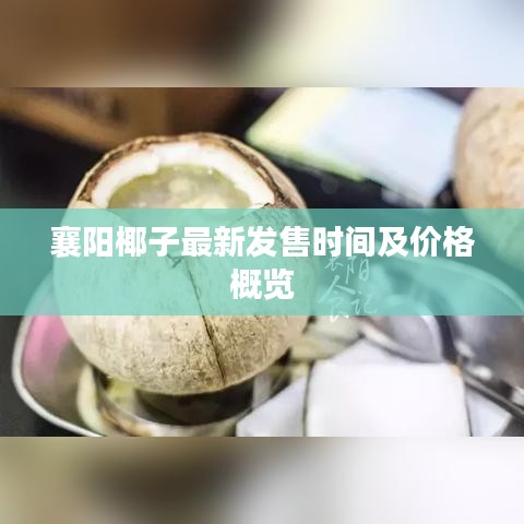 襄阳椰子最新发售时间及价格概览