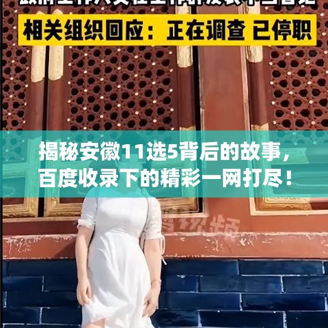 揭秘安徽11选5背后的故事,百度收录下的精彩一网打尽!