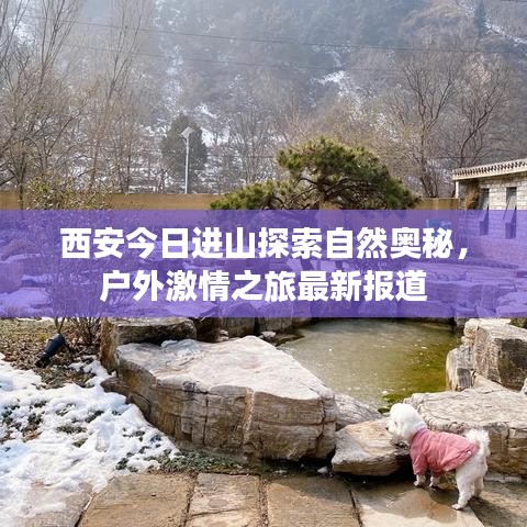 西安今日进山探索自然奥秘,户外激情之旅最新报道