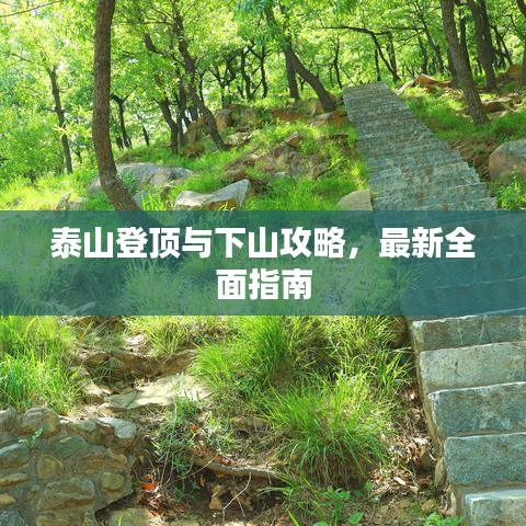 泰山登顶与下山攻略，最新全面指南