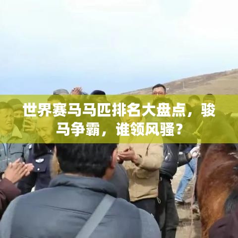 世界赛马马匹排名大盘点，骏马争霸，谁领风骚？