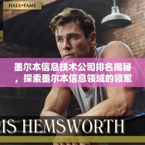 墨尔本信息技术公司排名揭秘，探索墨尔本信息领域的领军者