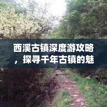 西溪古镇深度游攻略，探寻千年古镇的魅力与韵味