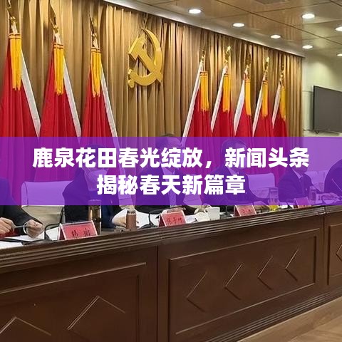 鹿泉花田春光绽放,新闻头条揭秘春天新篇章