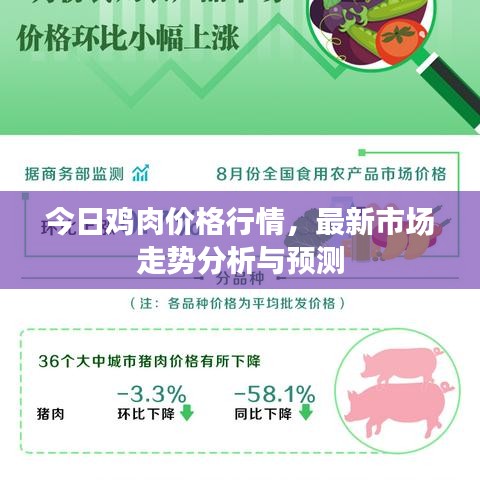 今日鸡肉价格行情，最新市场走势分析与预测