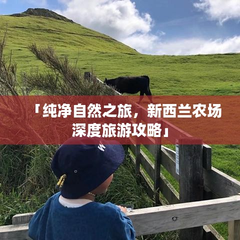 「纯净自然之旅，新西兰农场深度旅游攻略」