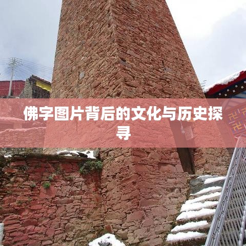 按部就班 第5页