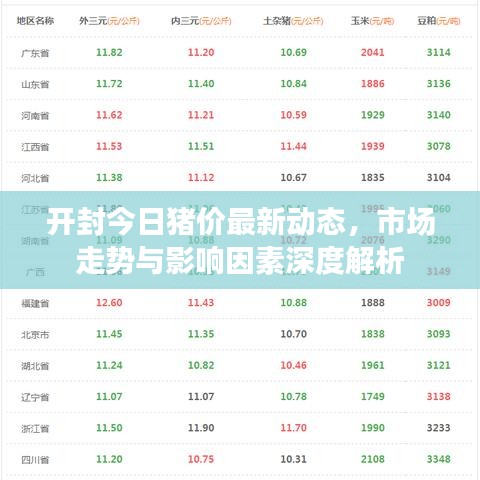 开封今日猪价最新动态，市场走势与影响因素深度解析