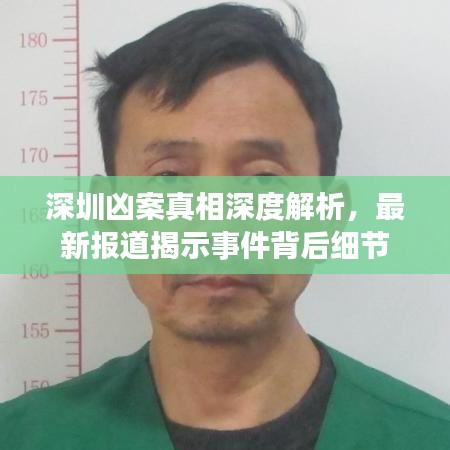 深圳凶案真相深度解析，最新报道揭示事件背后细节