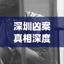 深圳凶案真相深度解析,最新报道揭示事件背后细节