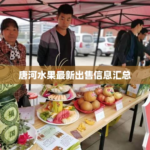唐河水果最新出售信息汇总