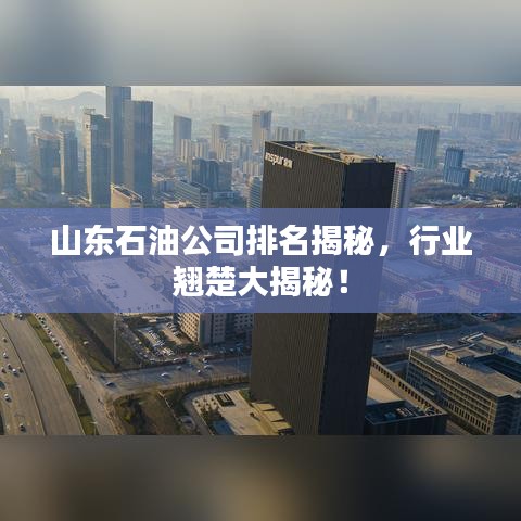 山东石油公司排名揭秘，行业翘楚大揭秘！