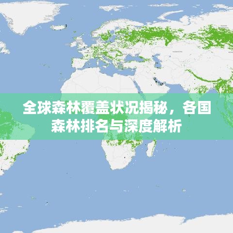 全球森林覆盖状况揭秘，各国森林排名与深度解析