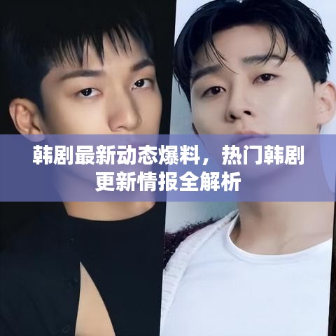 韩剧最新动态爆料，热门韩剧更新情报全解析