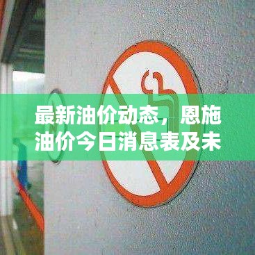 最新油价动态，恩施油价今日消息表及未来趋势解析