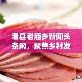 滑县老庙乡新闻头条网，聚焦乡村发展，实时传递最新资讯动态