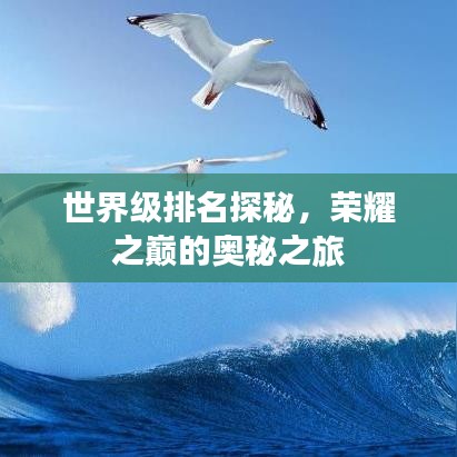 世界级排名探秘，荣耀之巅的奥秘之旅