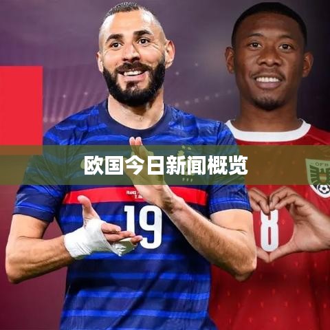 欧国今日新闻概览