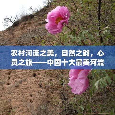 农村河流之美，自然之韵，心灵之旅——中国十大最美河流排名