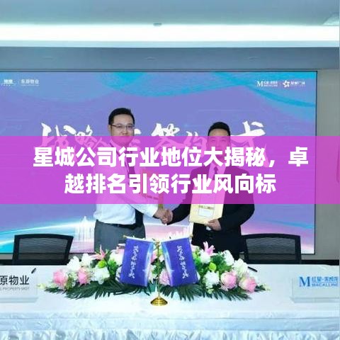 星城公司行业地位大揭秘，卓越排名引领行业风向标