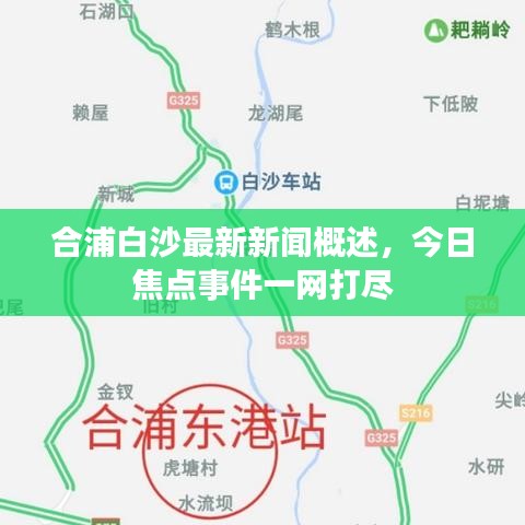 合浦白沙最新新闻概述，今日焦点事件一网打尽