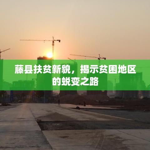 藤县扶贫新貌，揭示贫困地区的蜕变之路