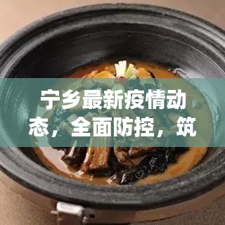 宁乡最新疫情动态，全面防控，筑牢健康防线