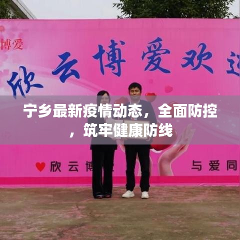 宁乡最新疫情动态,全面防控,筑牢健康防线