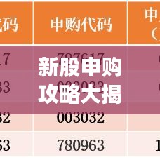 新股申购攻略大揭秘，轻松成功申购，获取高额收益的技巧