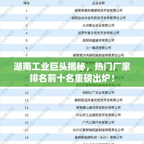 湖南工业巨头揭秘，热门厂家排名前十名重磅出炉！