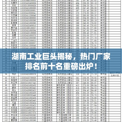 湖南工业巨头揭秘,热门厂家排名前十名重磅出炉!