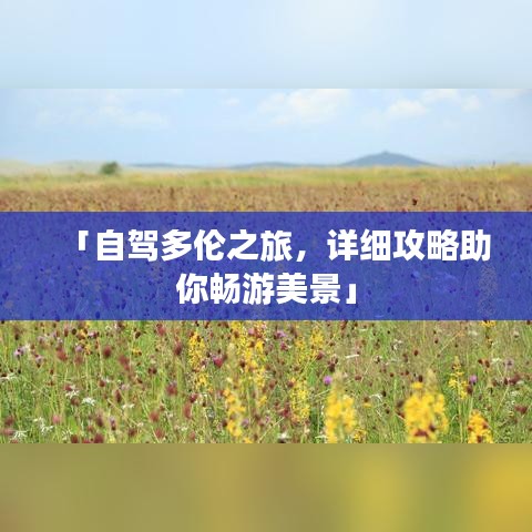 「自驾多伦之旅，详细攻略助你畅游美景」
