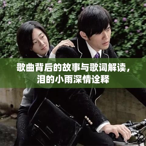 歌曲背后的故事与歌词解读，泪的小雨深情诠释