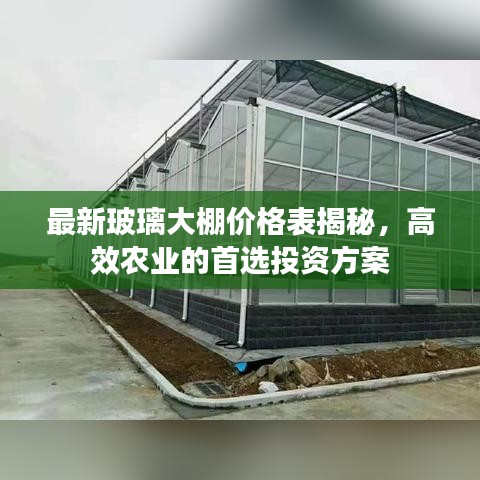 最新玻璃大棚价格表揭秘，高效农业的首选投资方案