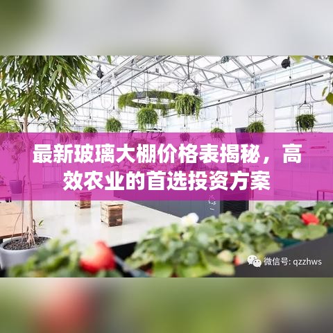 最新玻璃大棚价格表揭秘,高效农业的首选投资方案