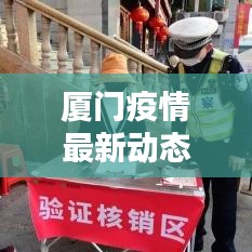 厦门疫情最新动态解析，今日消息、应对策略全知道