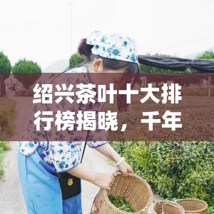 绍兴茶叶十大排行榜揭晓,千年古城茶香传奇惊艳味蕾