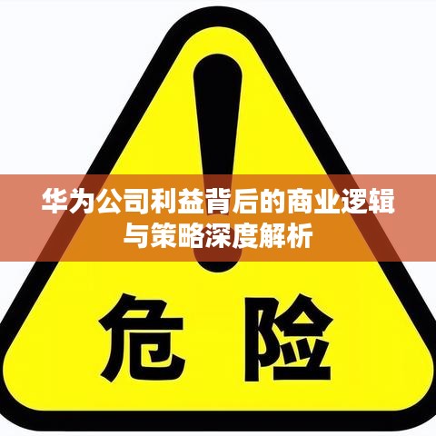 华为公司利益背后的商业逻辑与策略深度解析