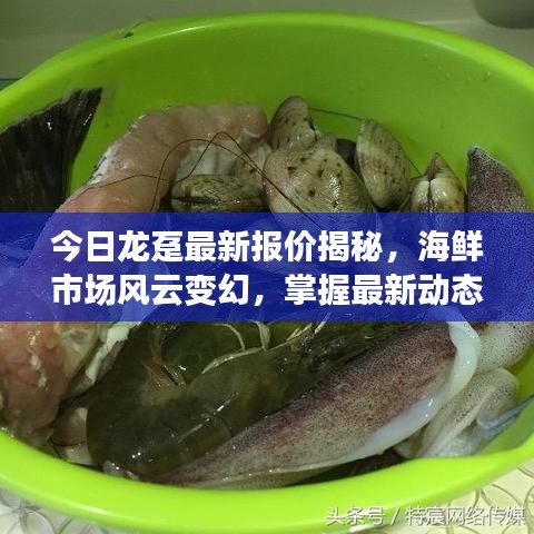 今日龙趸最新报价揭秘,海鲜市场风云变幻,掌握最新动态!