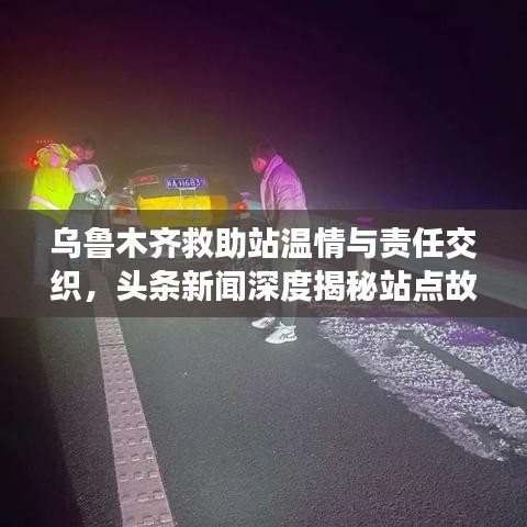乌鲁木齐救助站温情与责任交织，头条新闻深度揭秘站点故事