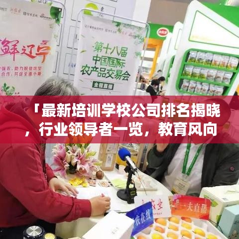 「最新培训学校公司排名揭晓，行业领导者一览，教育风向标把握在手」