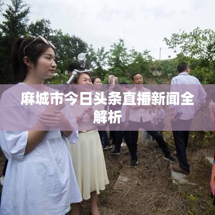 麻城市今日头条直播新闻全解析
