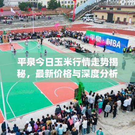 平泉今日玉米行情走势揭秘，最新价格与深度分析